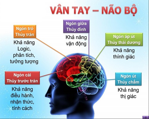 Tổng hợp những câu hỏi mà bậc cha mẹ thường thắc mắc về Sinh trắc học vân tay
