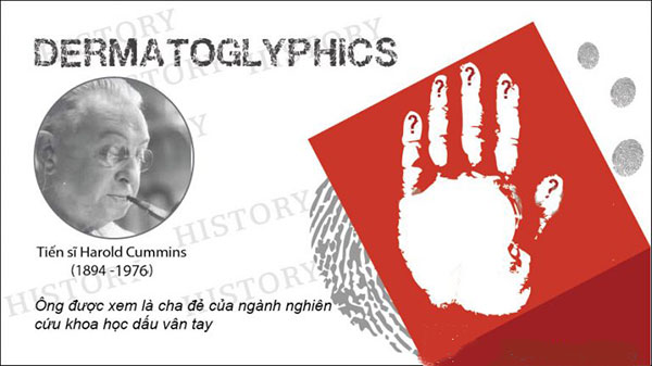 Sinh trắc học vân tay - 6 điều quan trọng cần biết