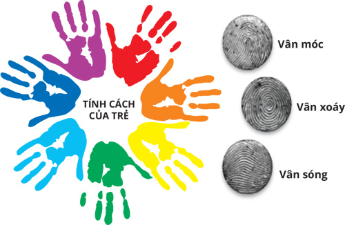 Tìm hiểu về Sinh trắc vân tay