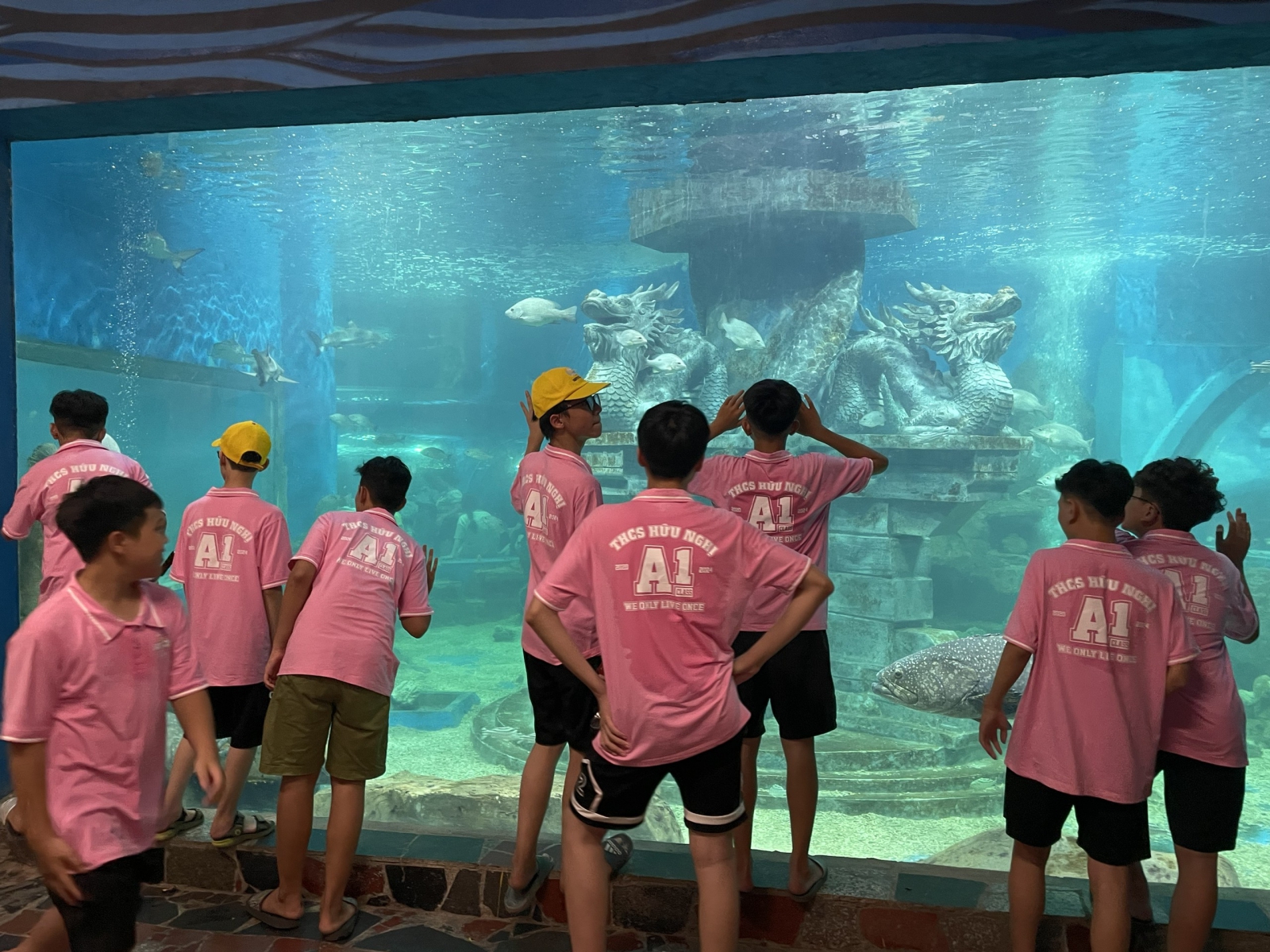 Học sinh lớp 8 tham quan và khám phá các loại động vật dưới nước