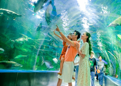 Khám phá Thủy cung cùng với những động vật dưới nước vô cùng thú vị